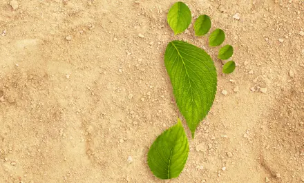 Wie reduzieren wir unseren CO2-Fußabdruck?