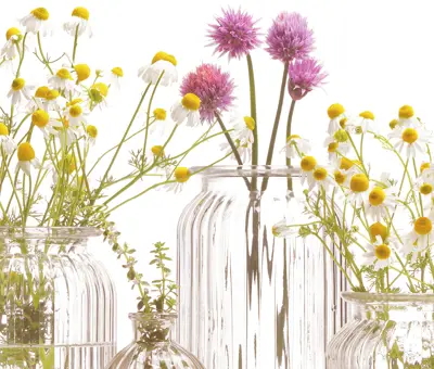 Das Leben danach: Schicke Bohème Vase